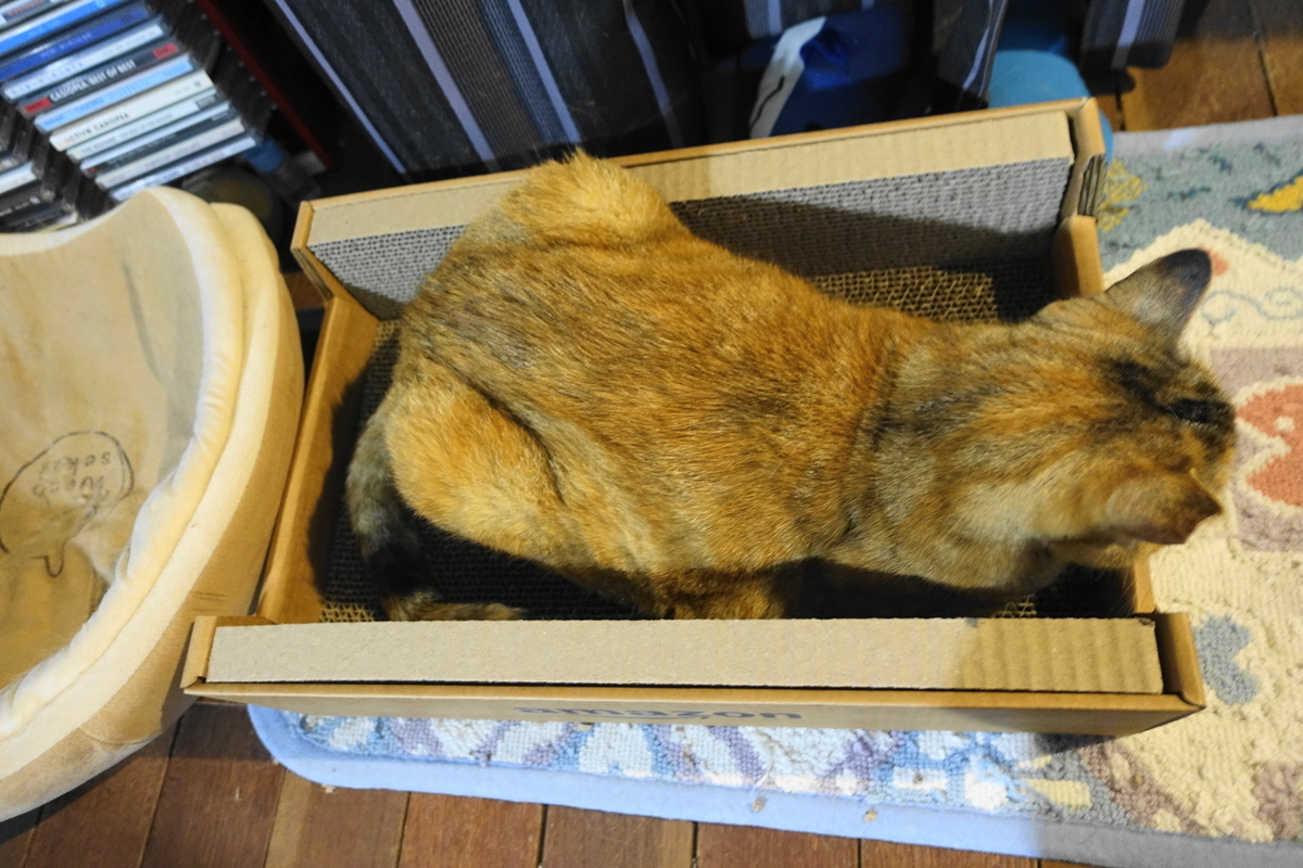 f:id:shigeo-t:20210603110316j:plain