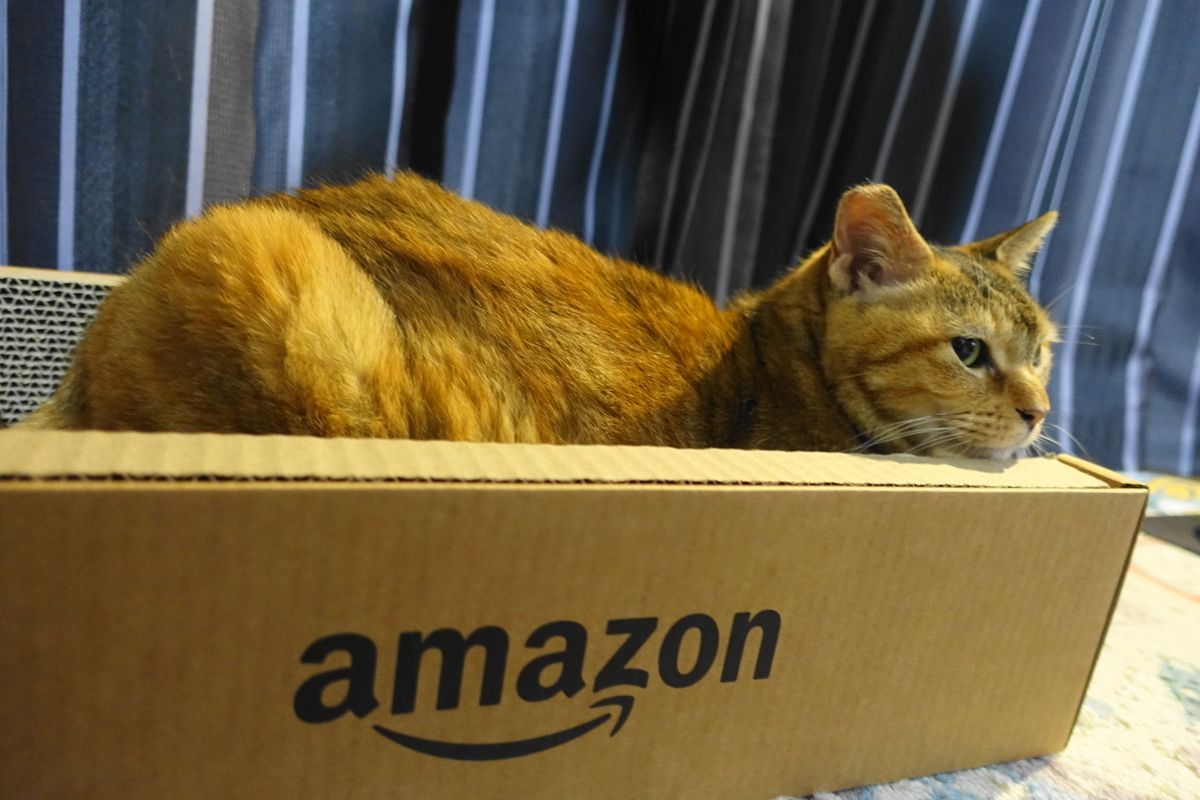 f:id:shigeo-t:20210603110329j:plain