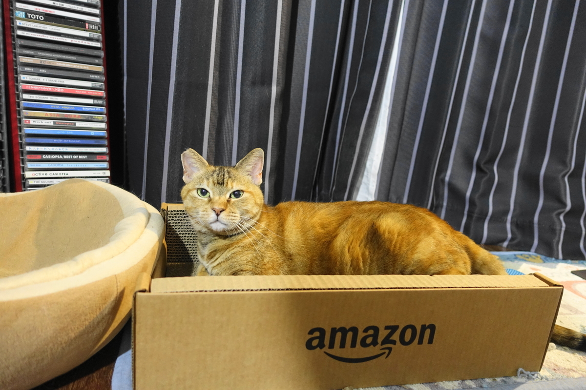 f:id:shigeo-t:20210603110418j:plain