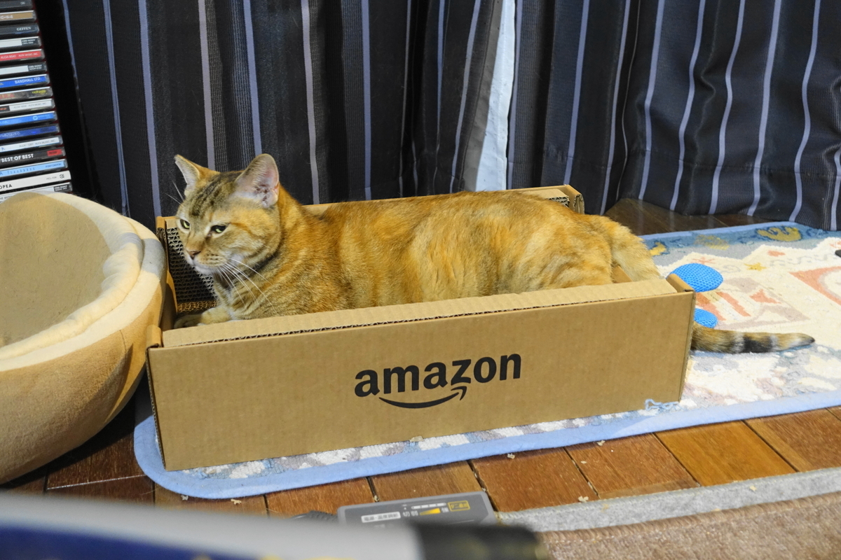 f:id:shigeo-t:20210603110431j:plain