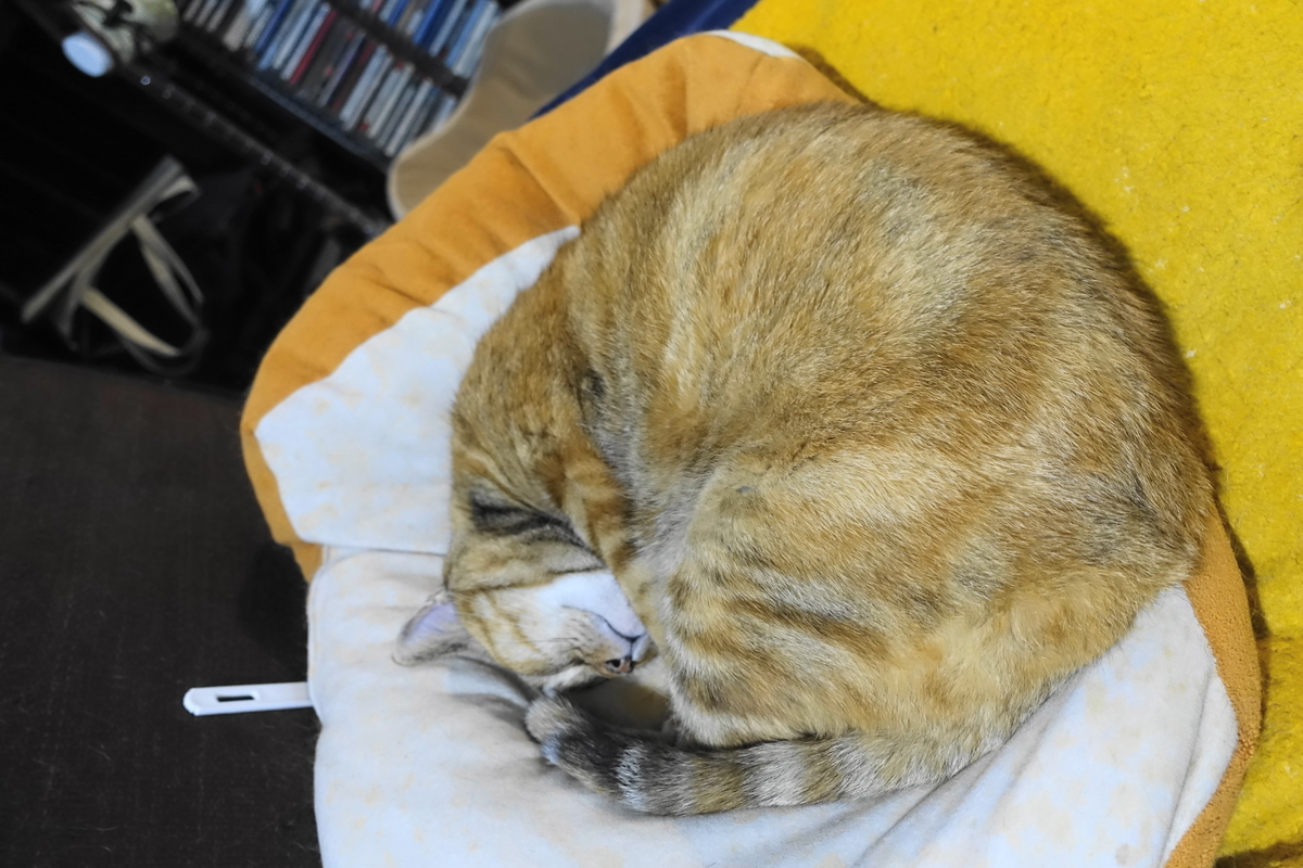 f:id:shigeo-t:20210603110643j:plain