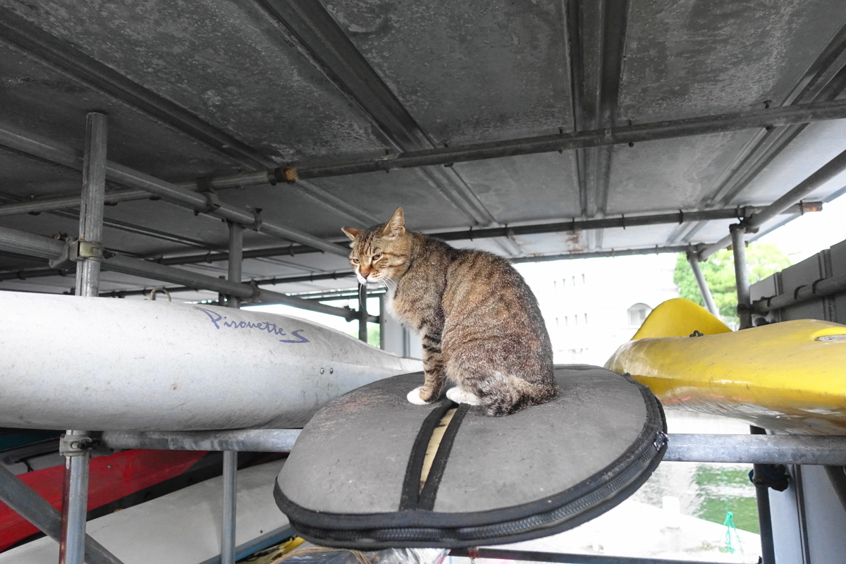 f:id:shigeo-t:20210610102938j:plain