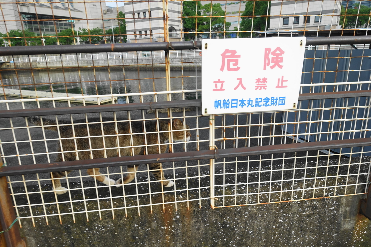 f:id:shigeo-t:20210610104057j:plain