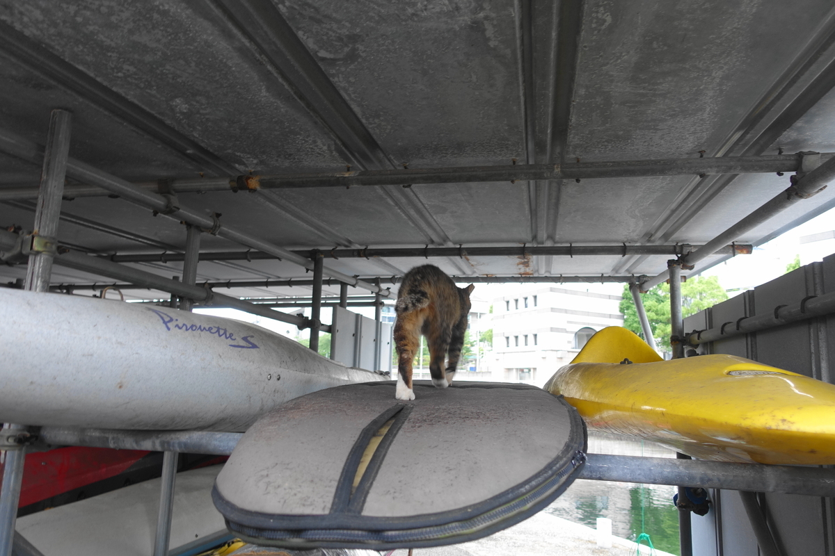 f:id:shigeo-t:20210610105828j:plain