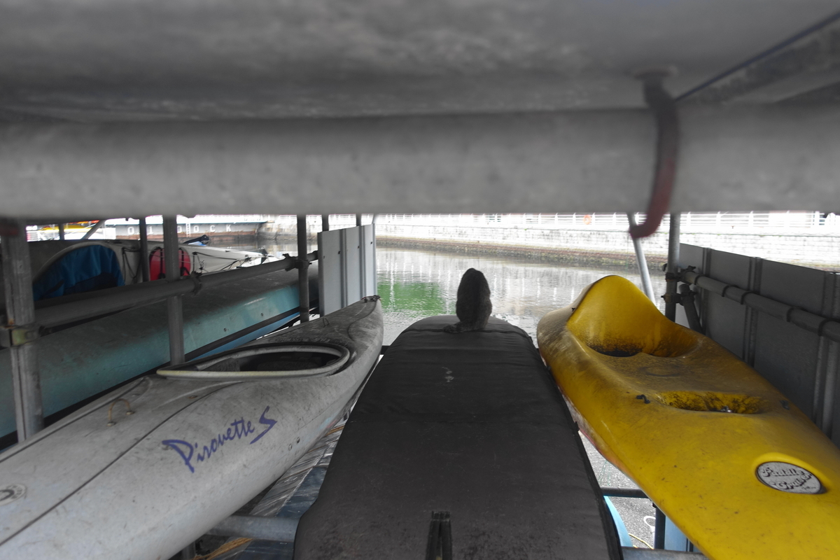 f:id:shigeo-t:20210610105831j:plain