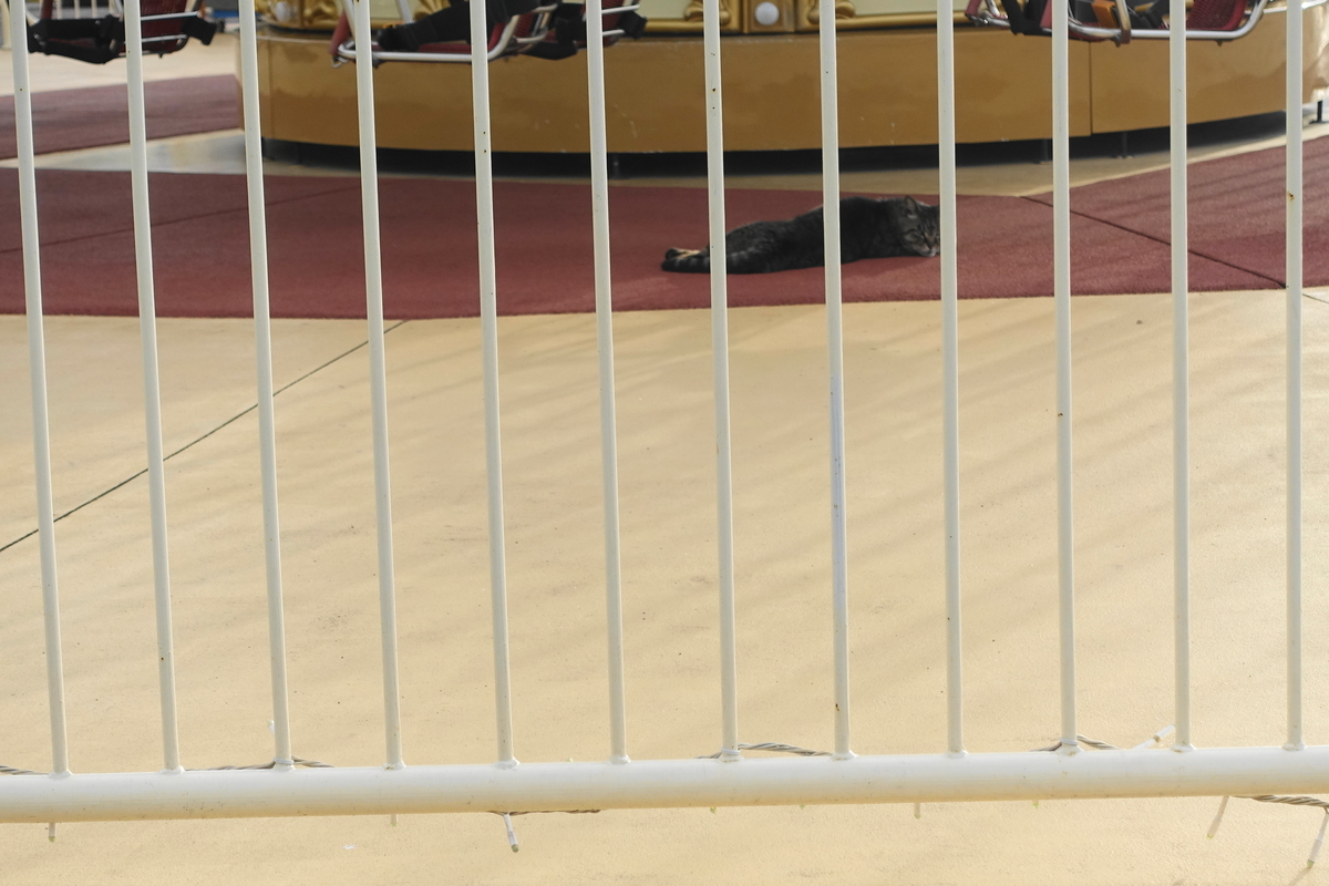 f:id:shigeo-t:20210615085428j:plain