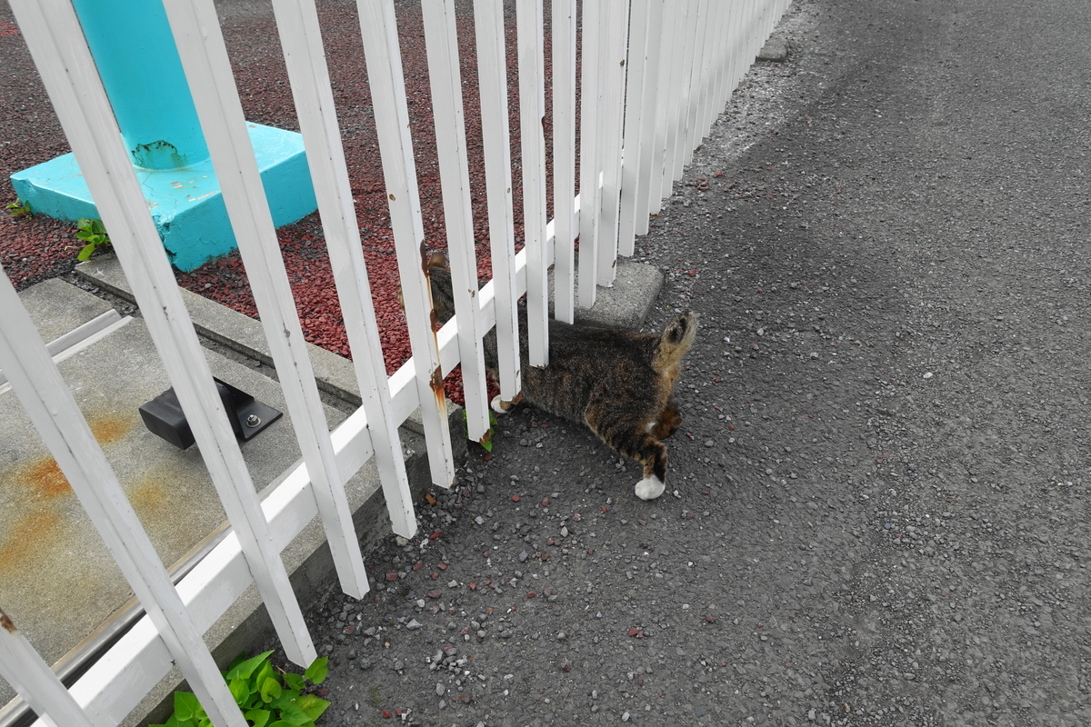 f:id:shigeo-t:20210615090958j:plain