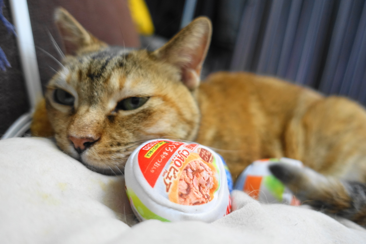 f:id:shigeo-t:20210617115353j:plain