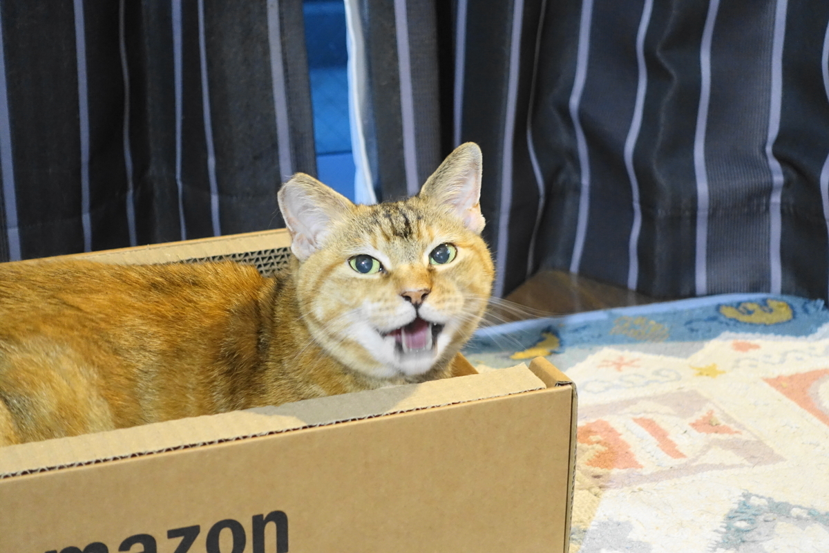 f:id:shigeo-t:20210617120756j:plain