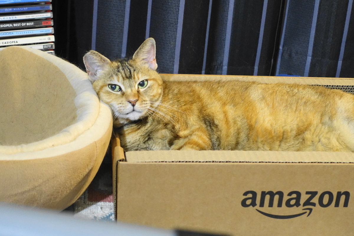 f:id:shigeo-t:20210617121050j:plain