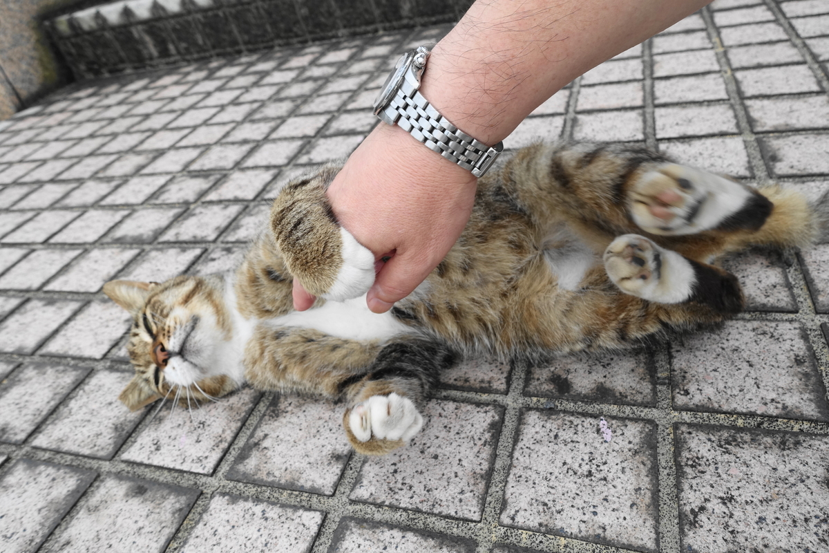 f:id:shigeo-t:20210626092003j:plain