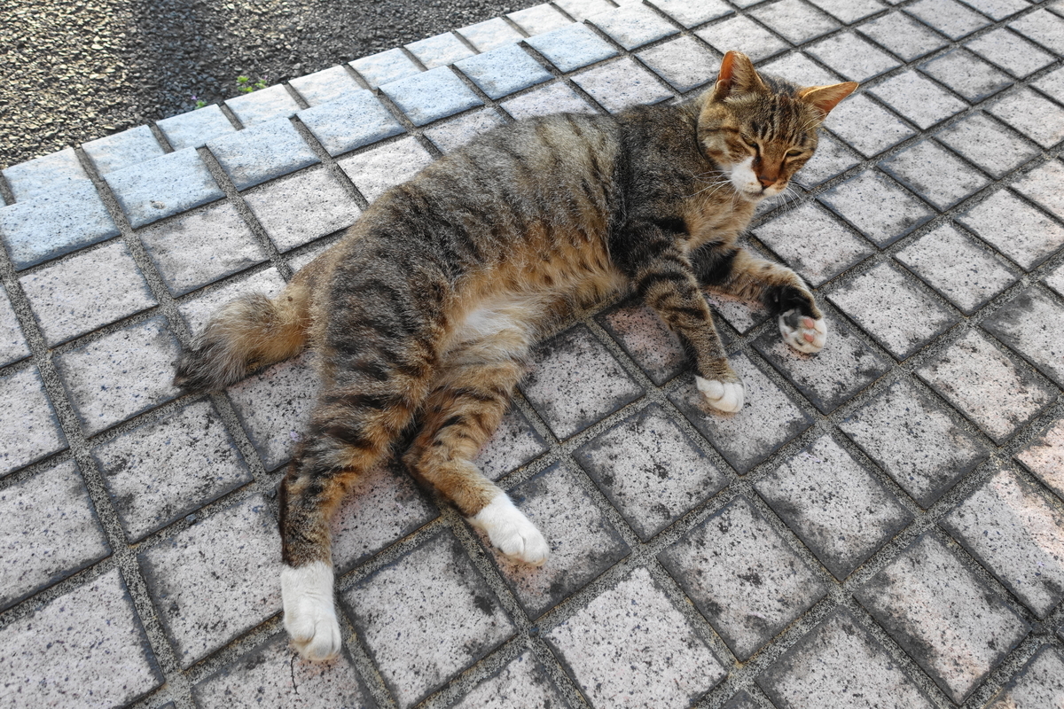 f:id:shigeo-t:20210630094939j:plain