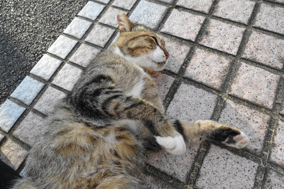 f:id:shigeo-t:20210730093422j:plain