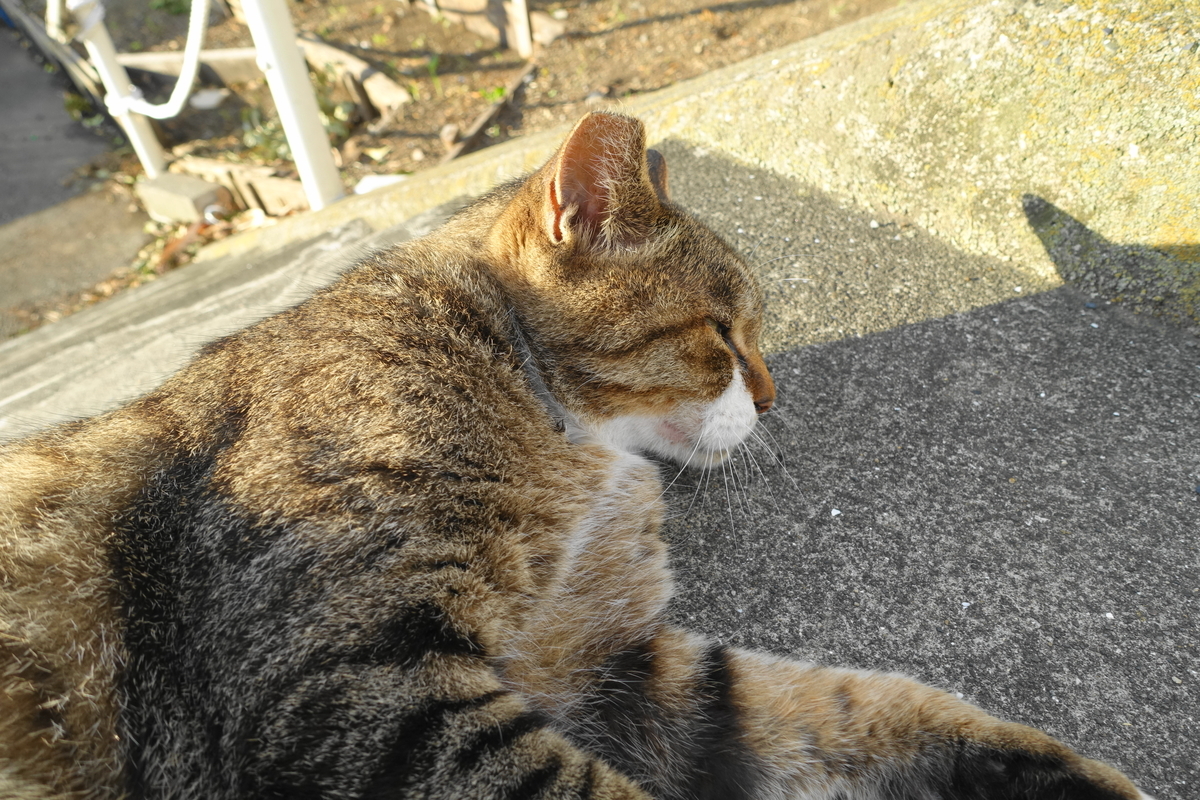 f:id:shigeo-t:20210816093502j:plain