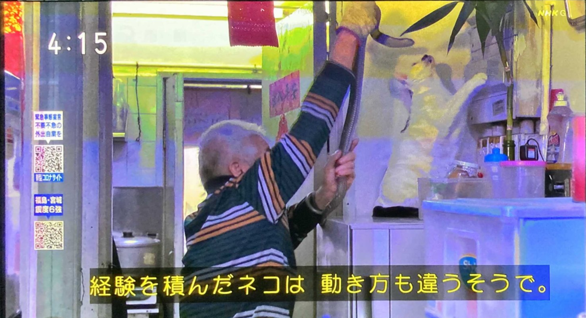 f:id:shigeo-t:20210817190200p:plain