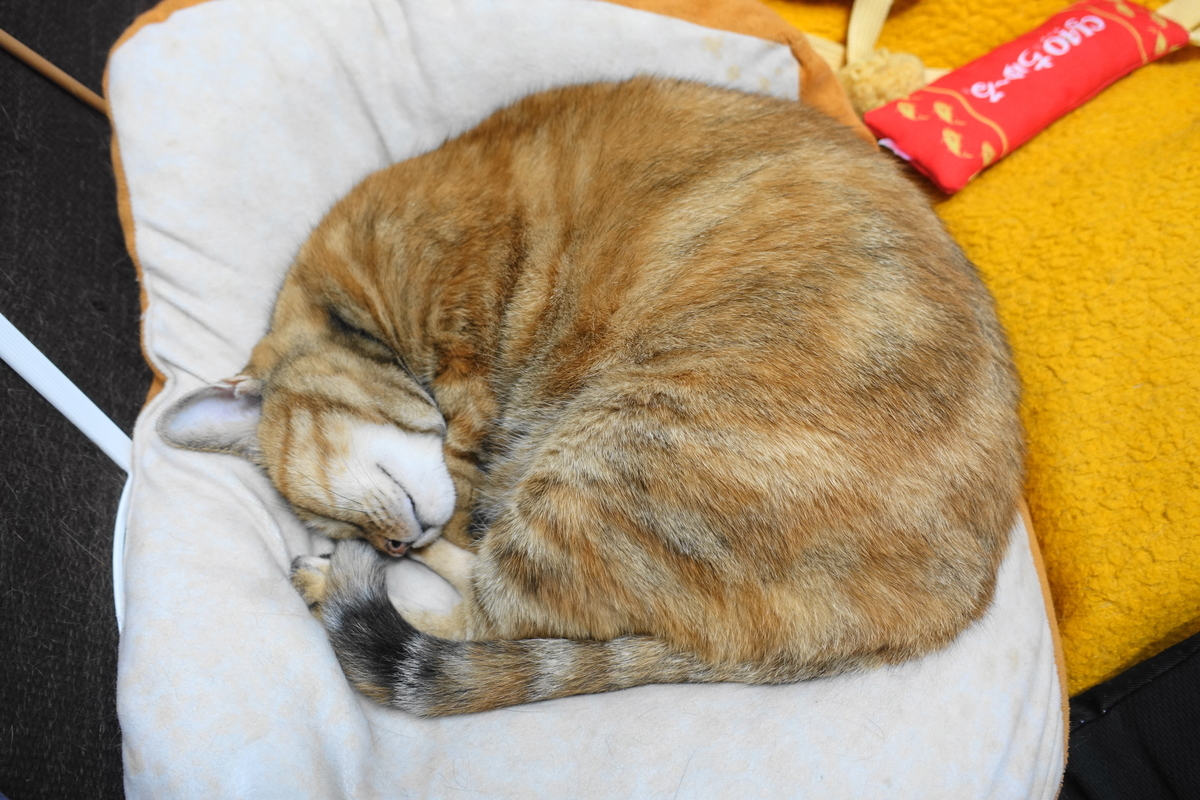 f:id:shigeo-t:20210820121652j:plain