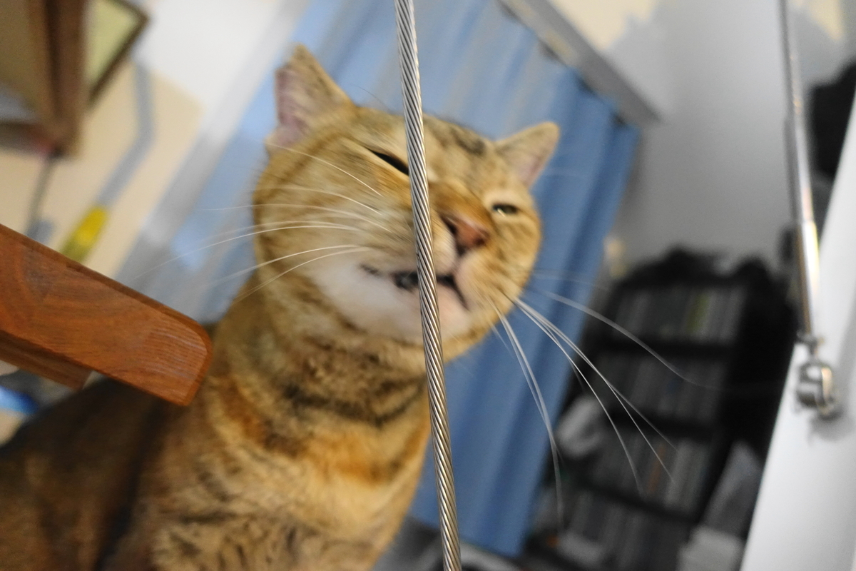 f:id:shigeo-t:20210906093347j:plain