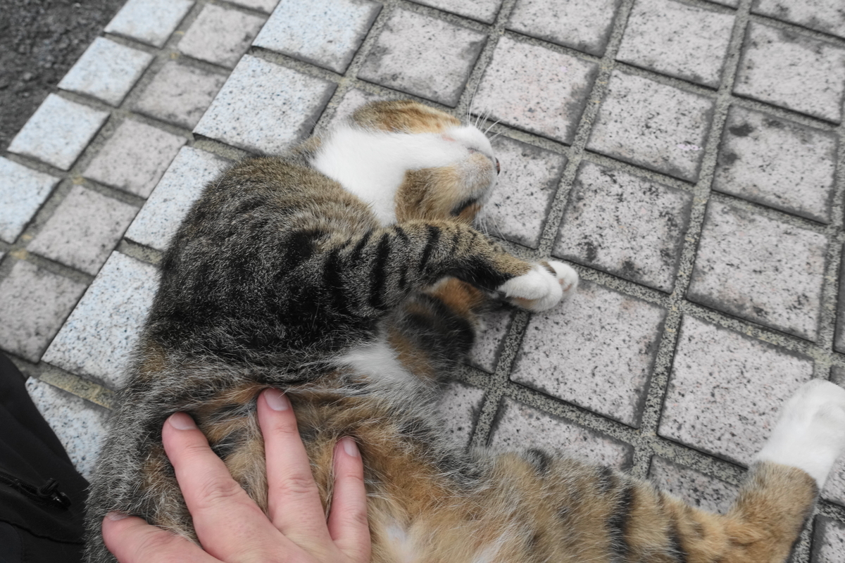 f:id:shigeo-t:20210907110415j:plain