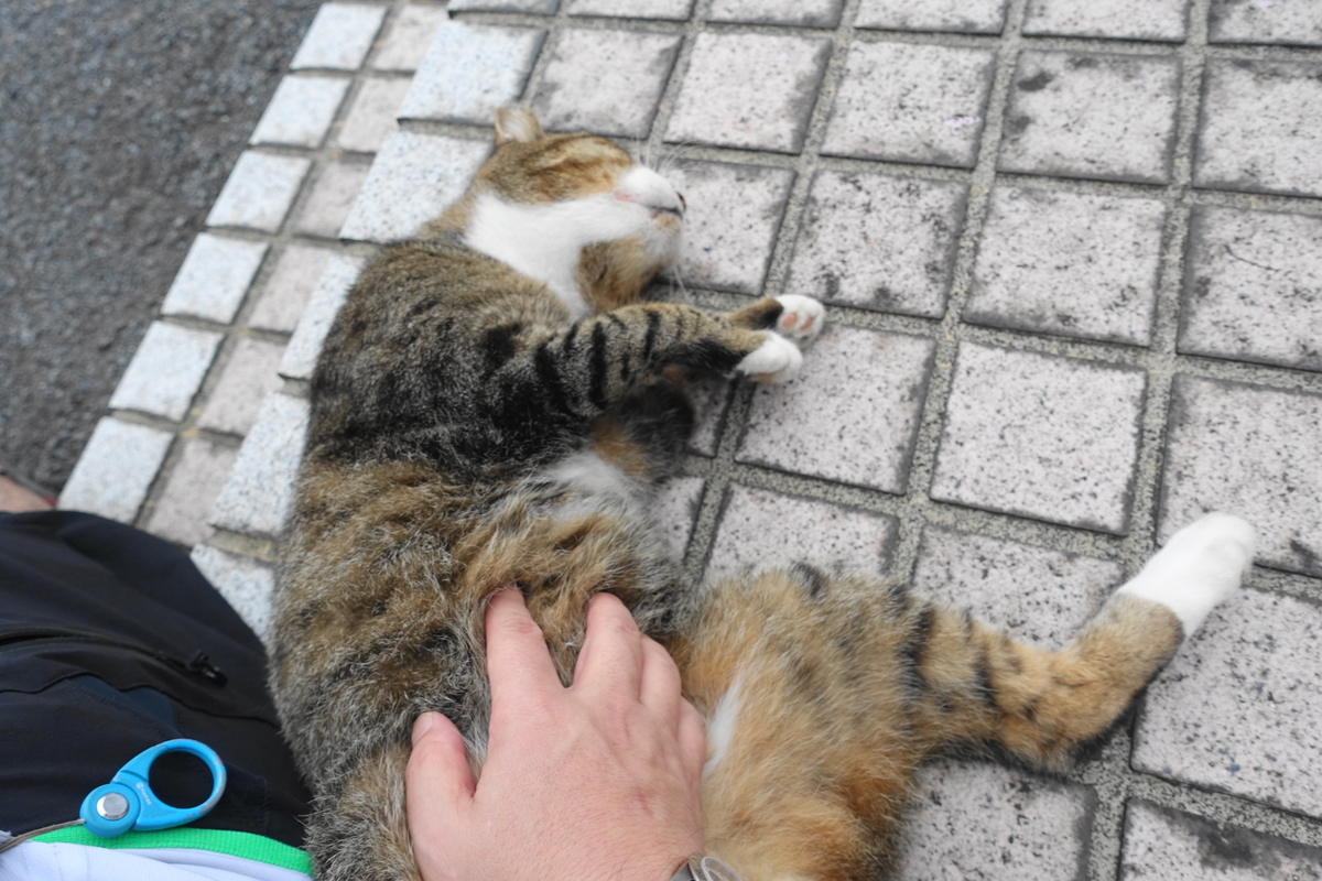 f:id:shigeo-t:20210907110432j:plain