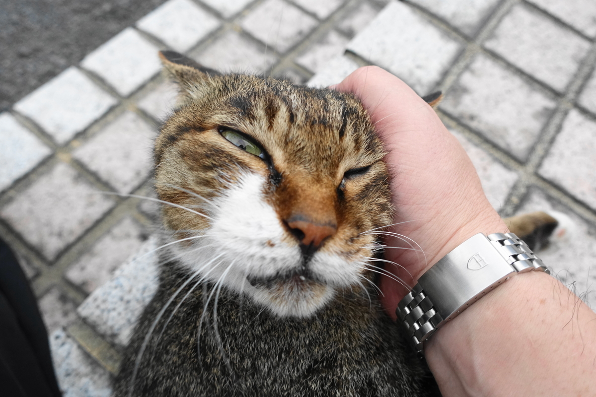 f:id:shigeo-t:20210907110448j:plain