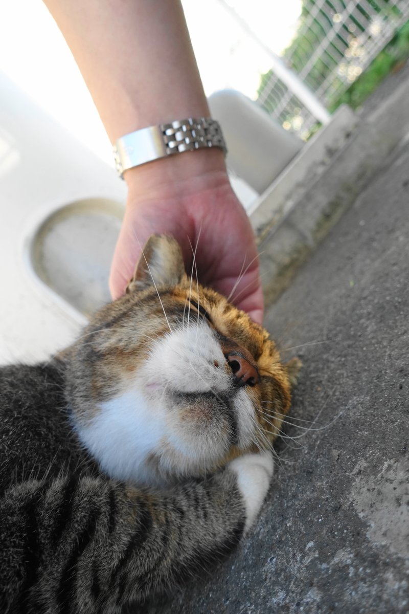 f:id:shigeo-t:20210909144258j:plain