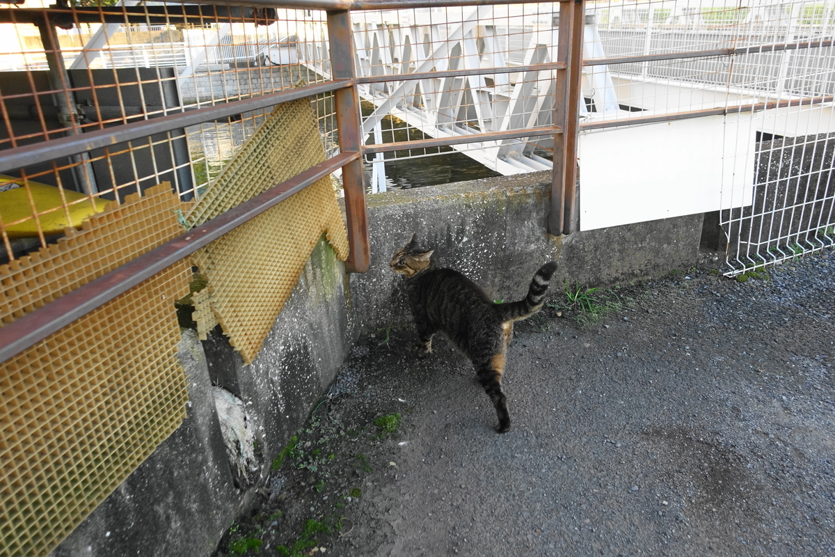 f:id:shigeo-t:20210926101610j:plain