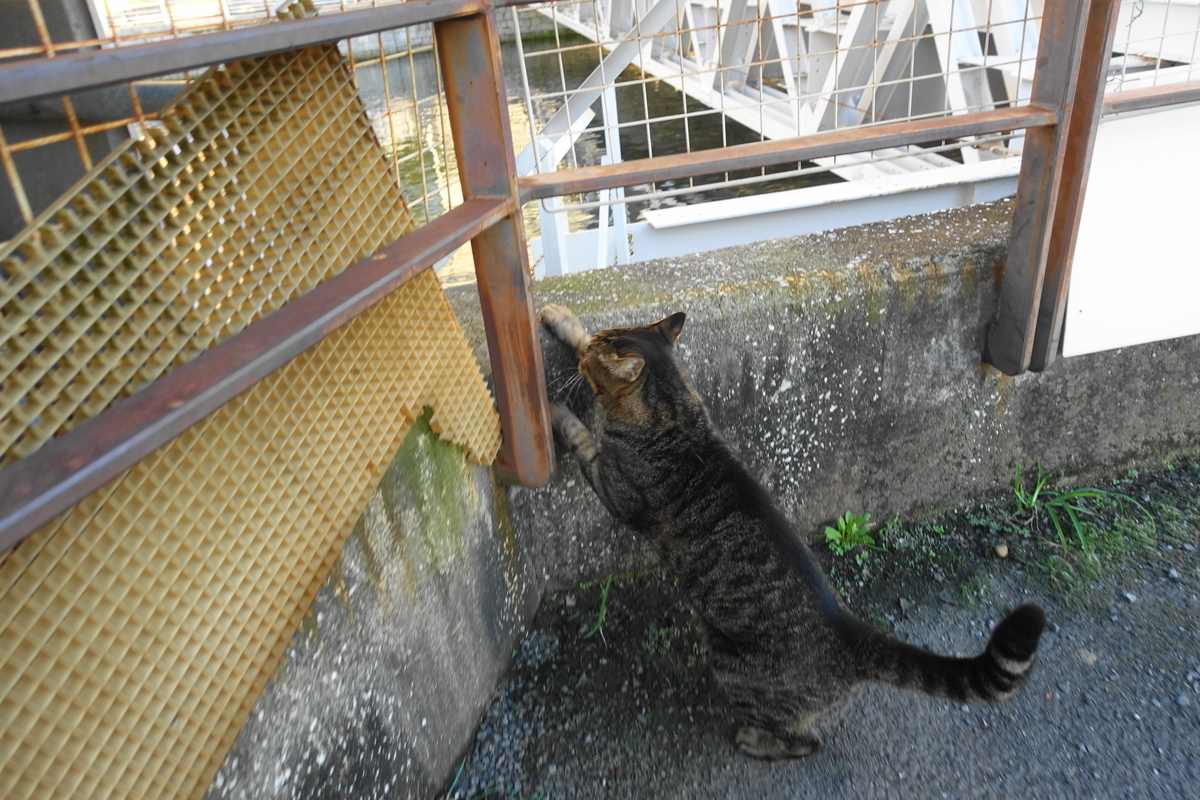 f:id:shigeo-t:20210926101623j:plain