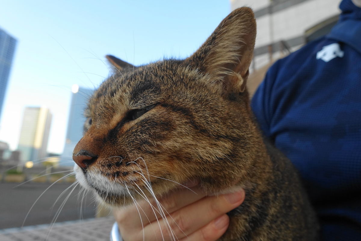 f:id:shigeo-t:20210926101943j:plain