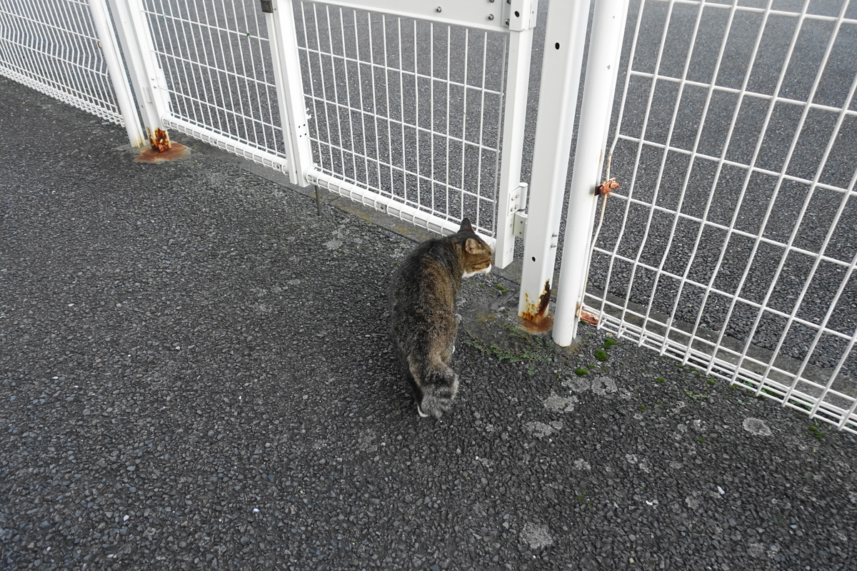 f:id:shigeo-t:20210926103544j:plain