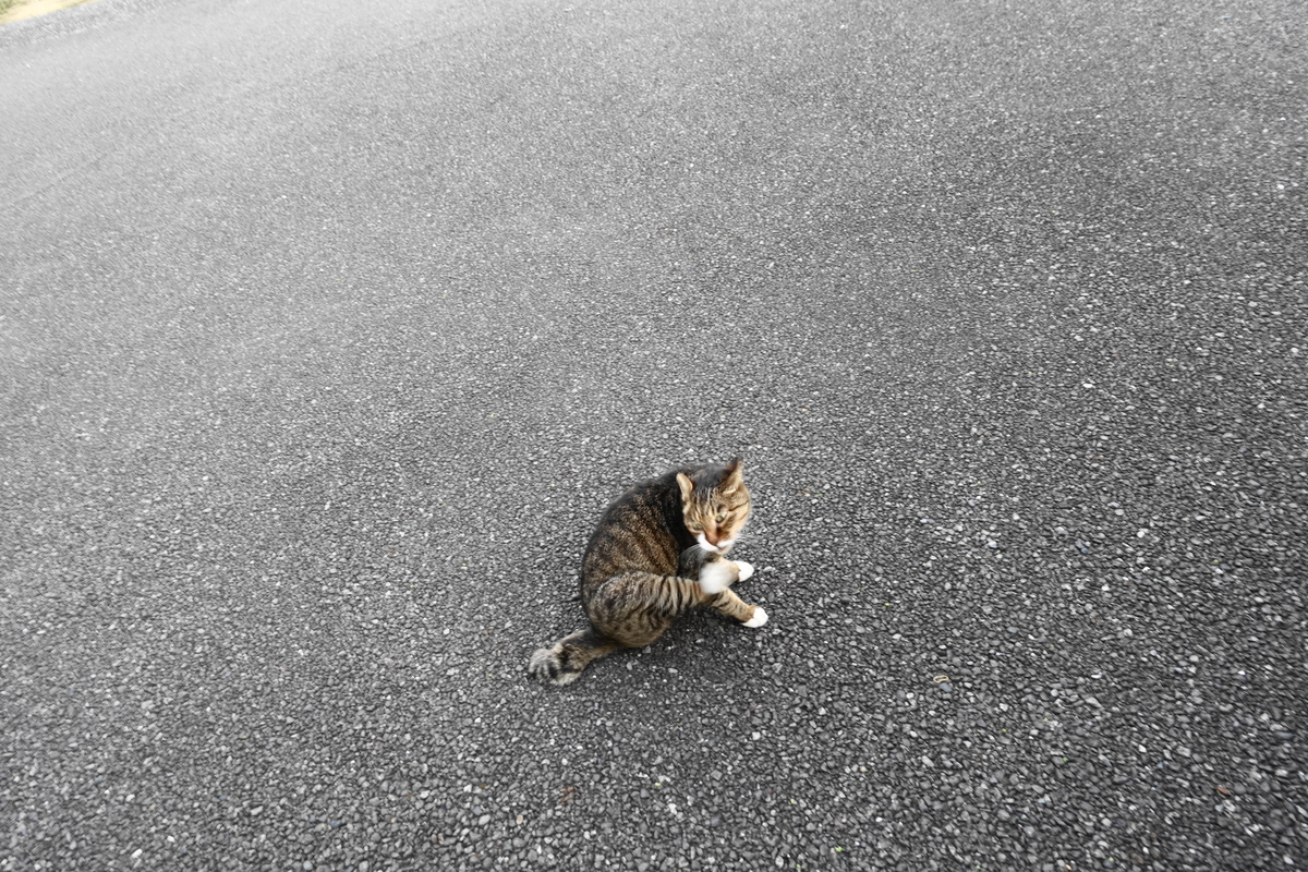 f:id:shigeo-t:20210926103555j:plain