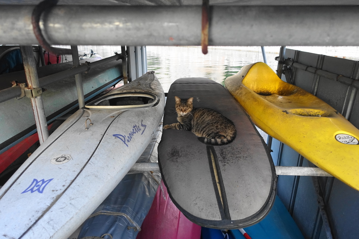 f:id:shigeo-t:20210926103652j:plain