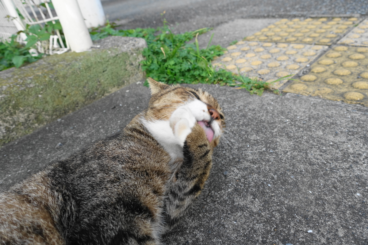 f:id:shigeo-t:20211004102237j:plain