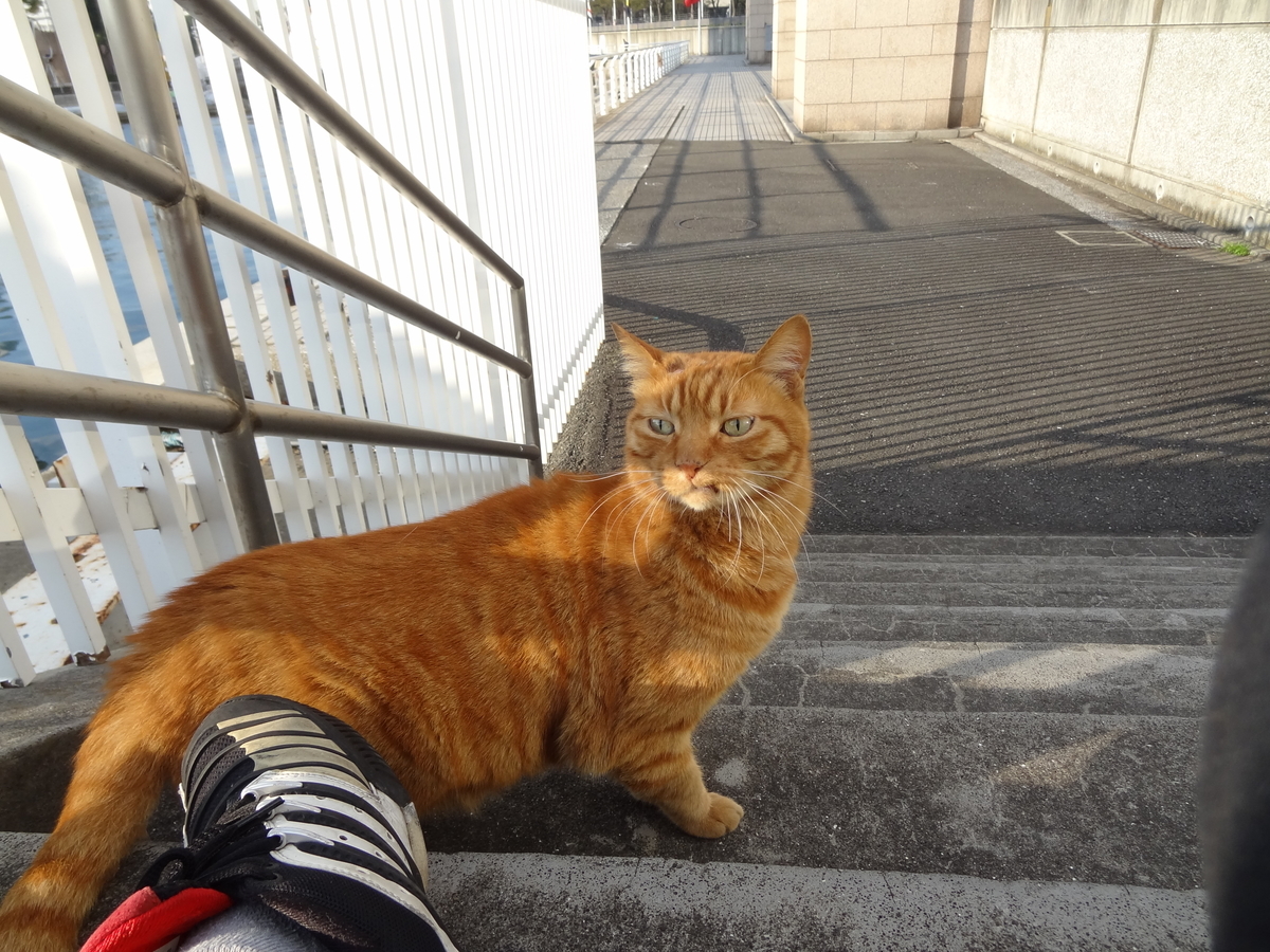 f:id:shigeo-t:20211017100628j:plain