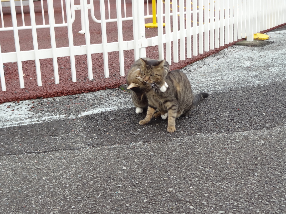 f:id:shigeo-t:20211017102401j:plain