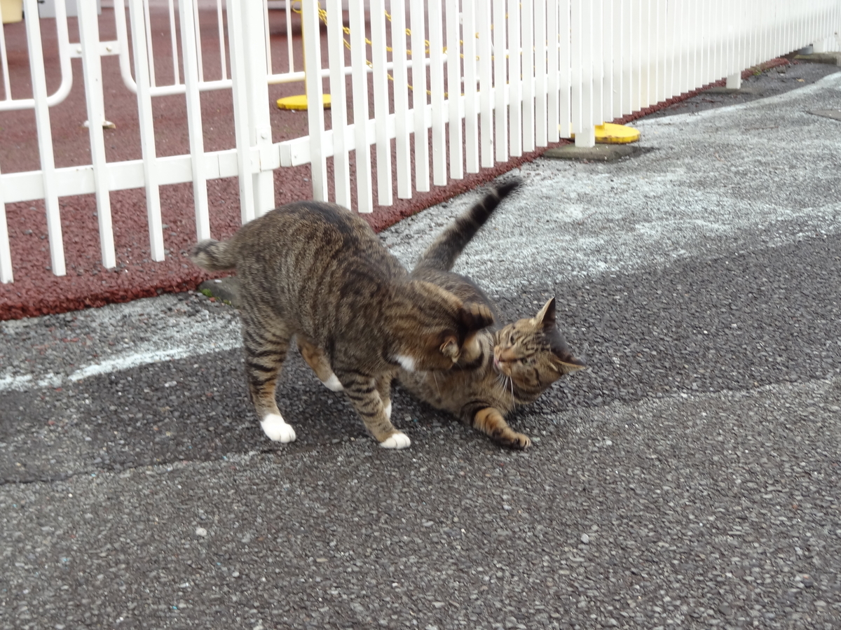 f:id:shigeo-t:20211017102408j:plain