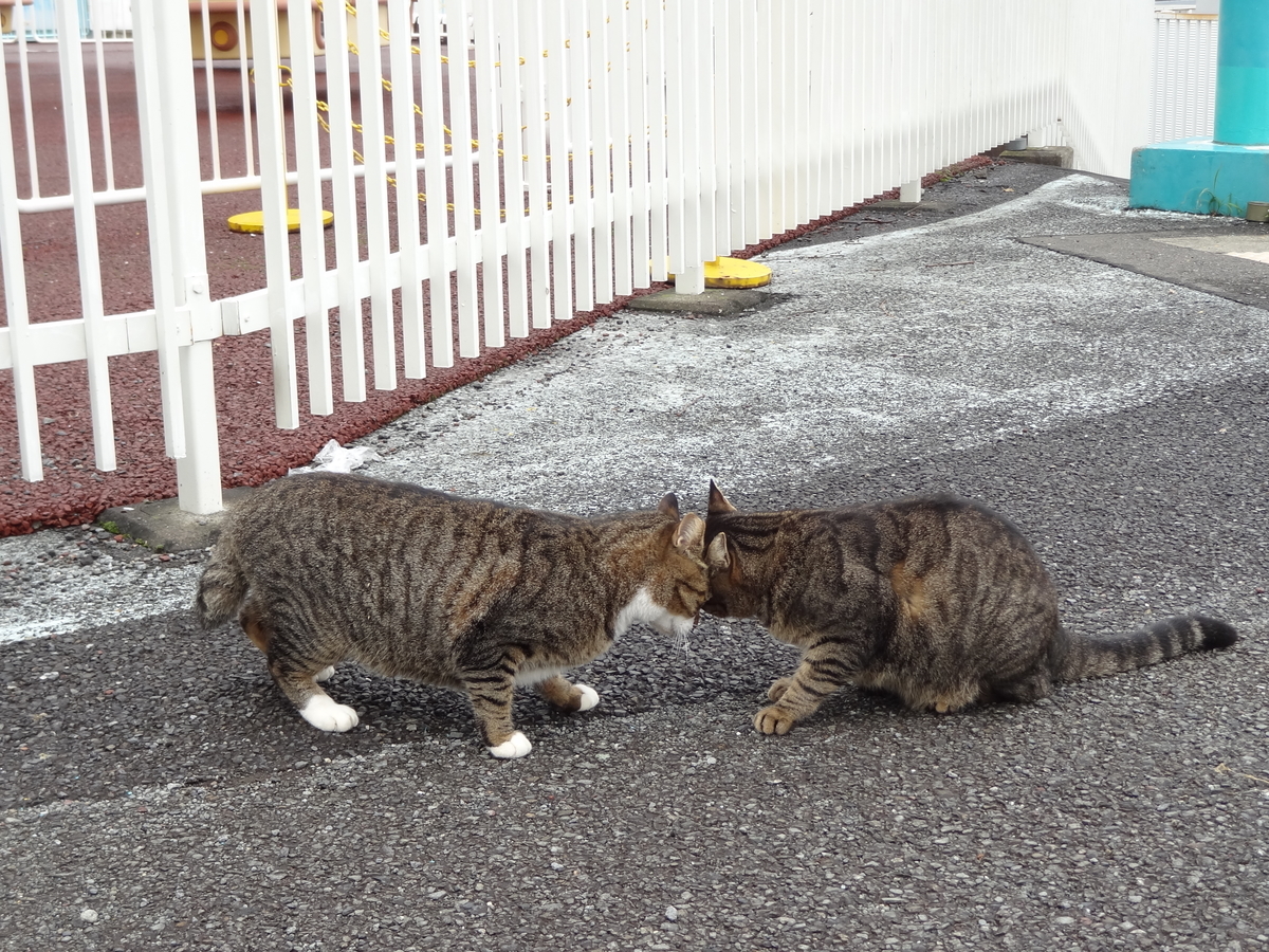 f:id:shigeo-t:20211017102446j:plain