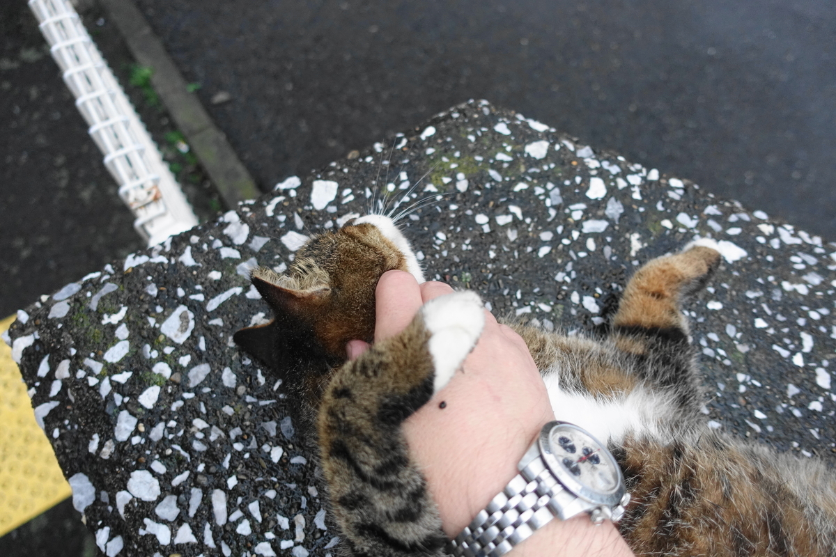 f:id:shigeo-t:20211018122413j:plain