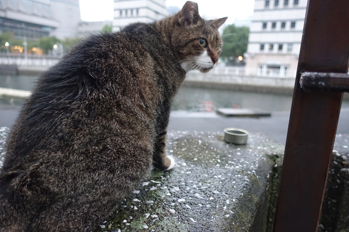 f:id:shigeo-t:20211018122554j:plain