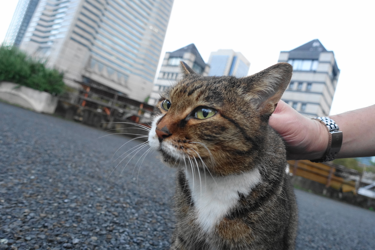 f:id:shigeo-t:20211018123347j:plain