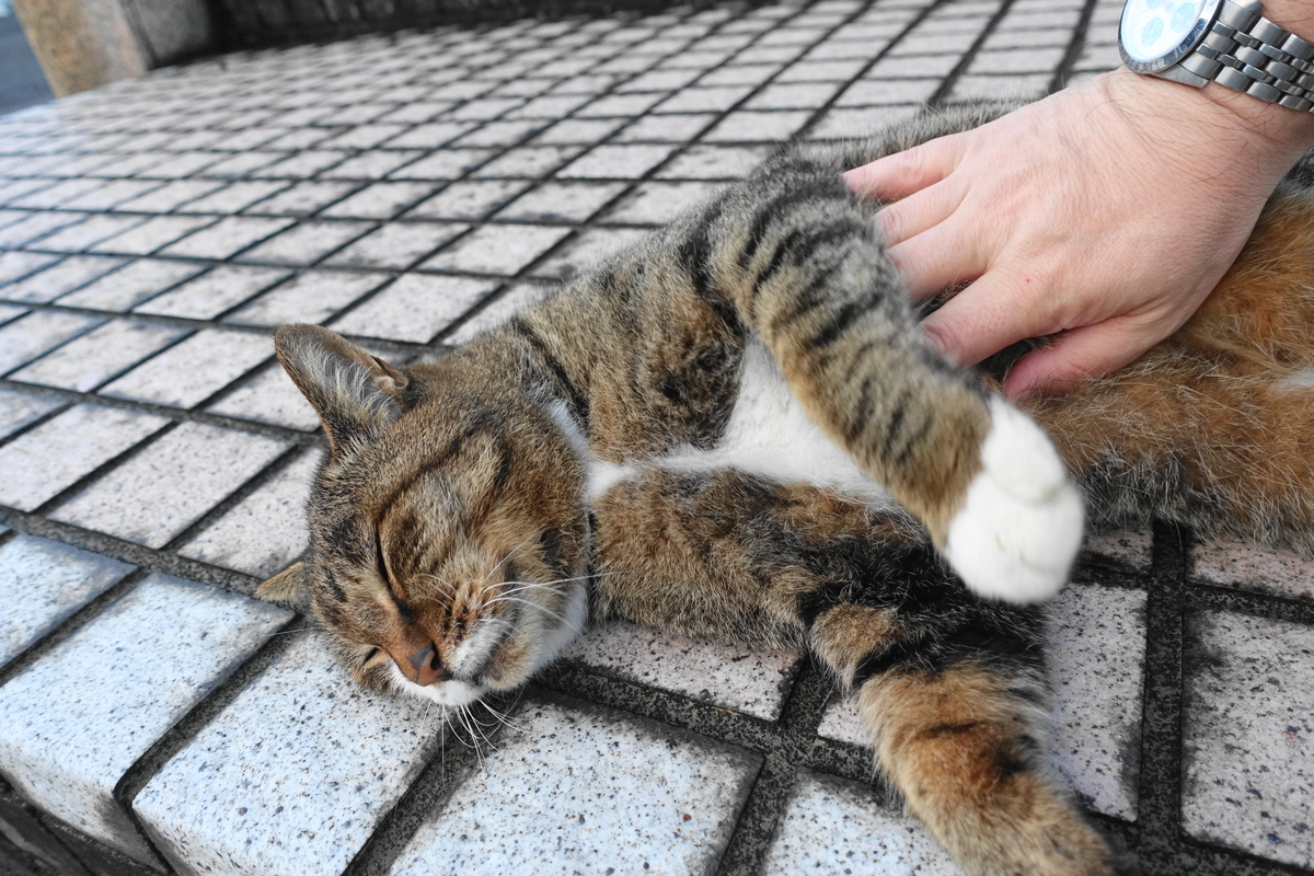 f:id:shigeo-t:20211018123532j:plain