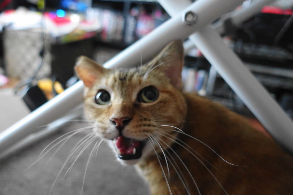 f:id:shigeo-t:20211026100811j:plain