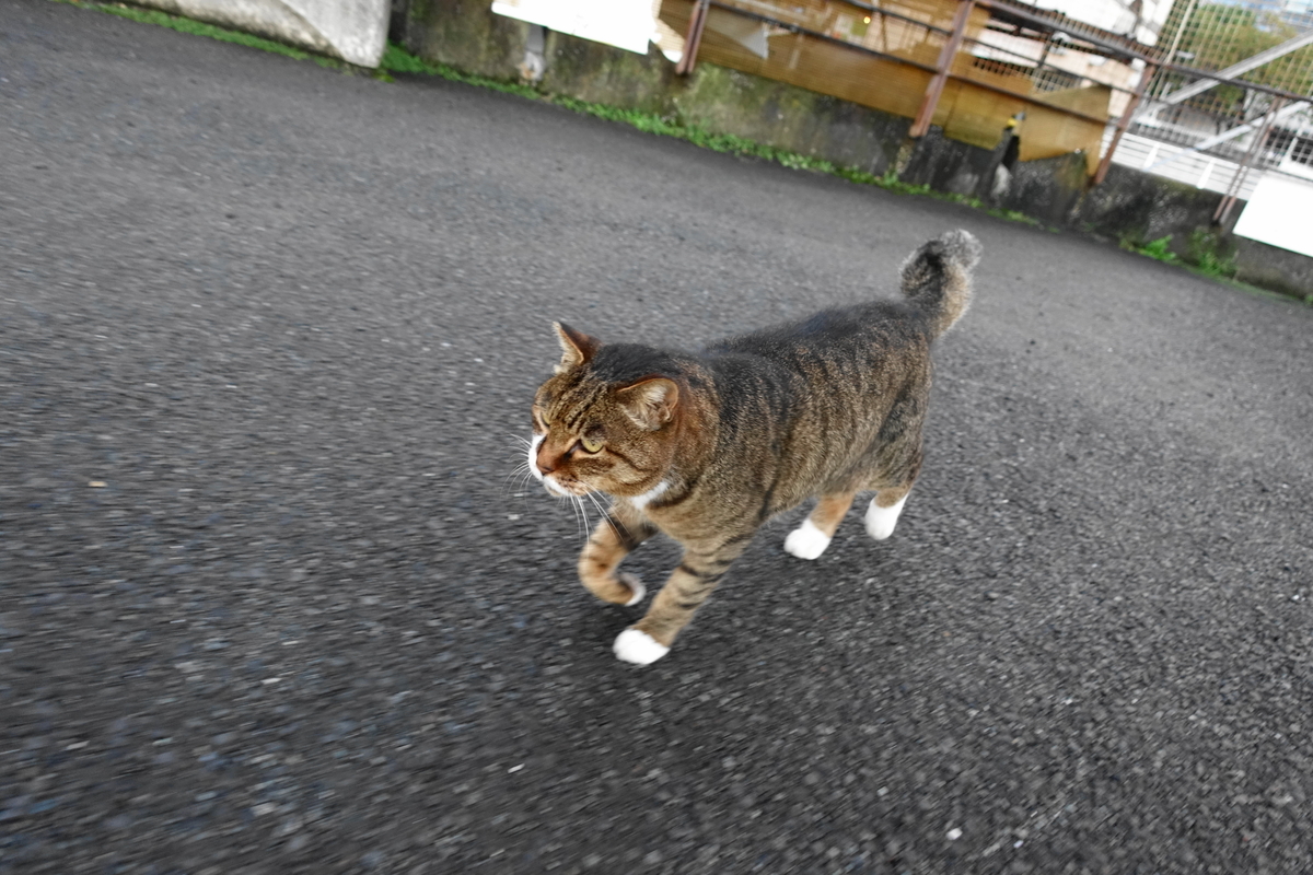 f:id:shigeo-t:20211101094842j:plain