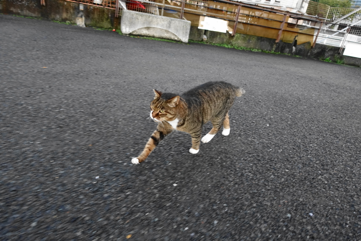 f:id:shigeo-t:20211101094844j:plain