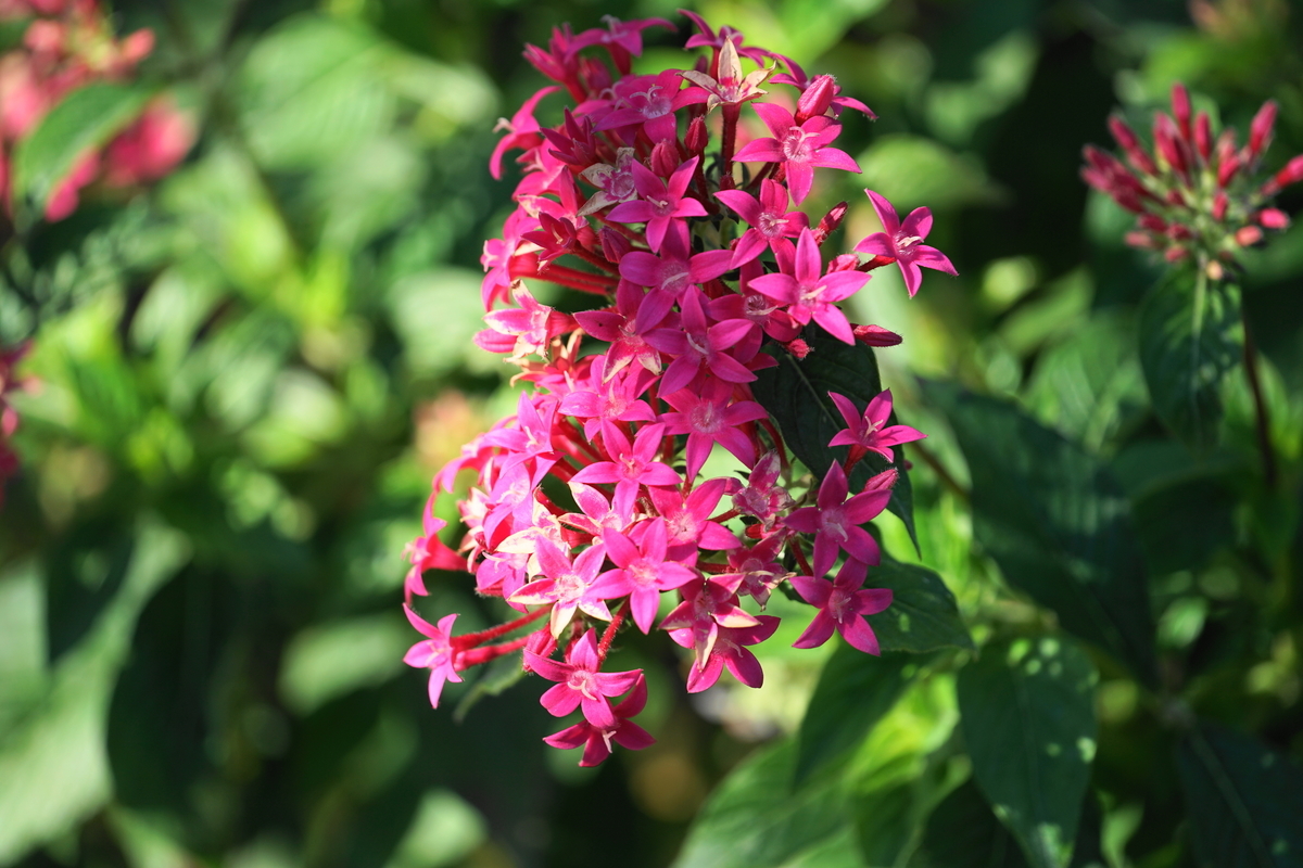 f:id:shigeo-t:20211103141602j:plain