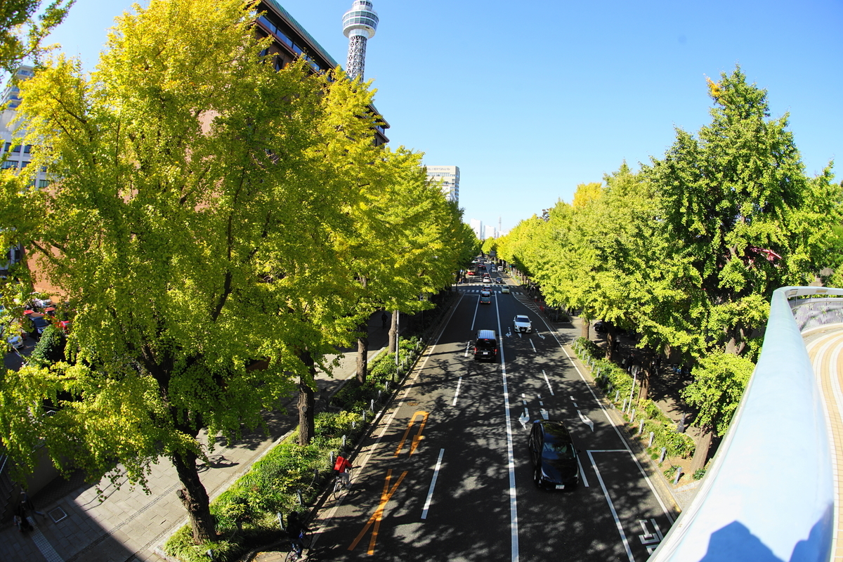 f:id:shigeo-t:20211103142720j:plain