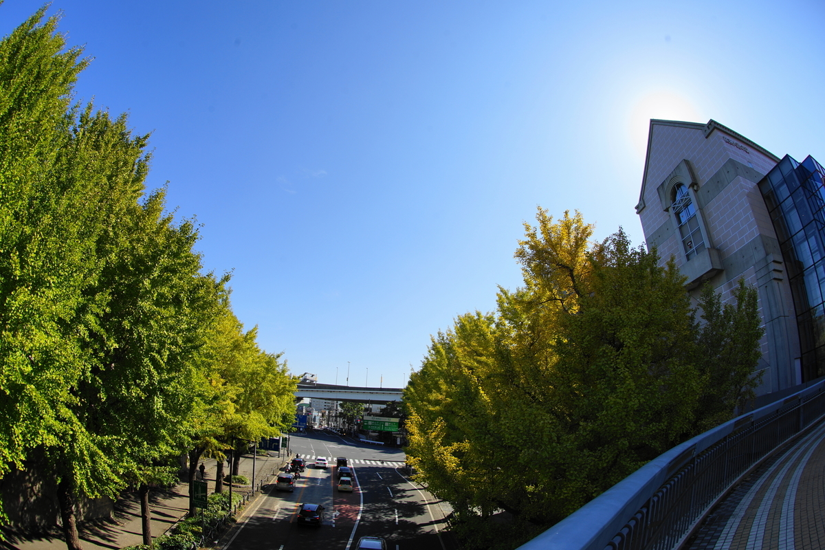 f:id:shigeo-t:20211103142747j:plain