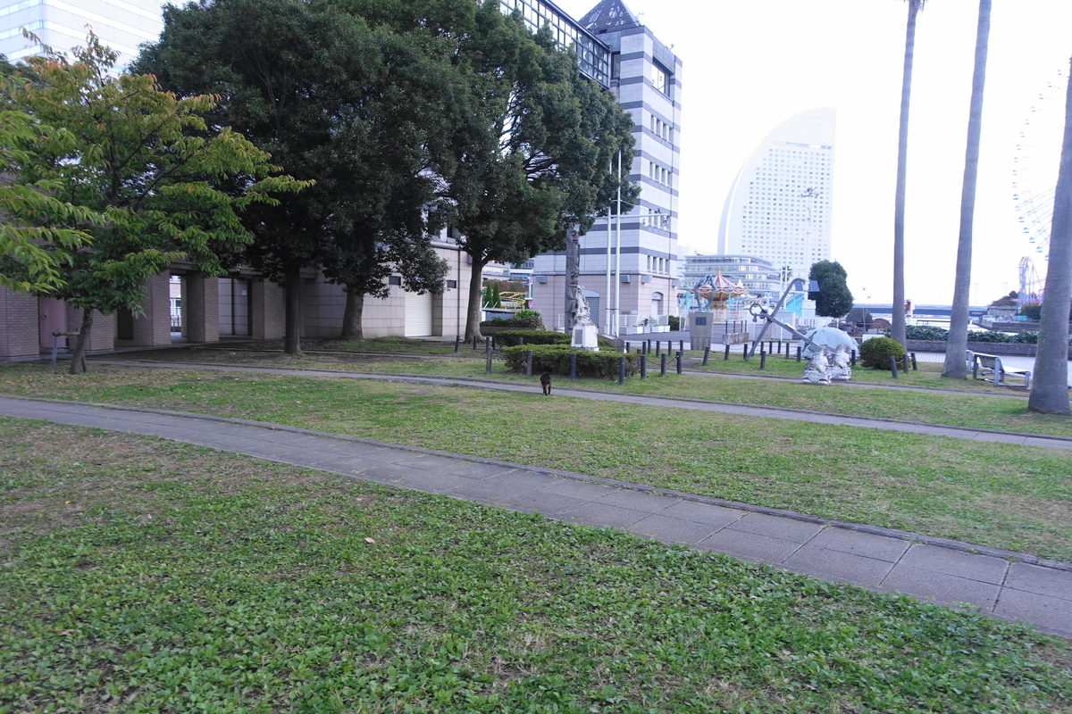 f:id:shigeo-t:20211105110144j:plain