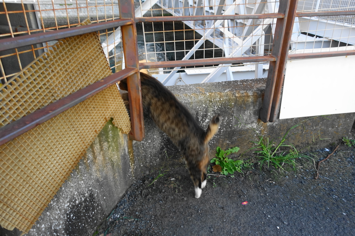 f:id:shigeo-t:20211105113545j:plain