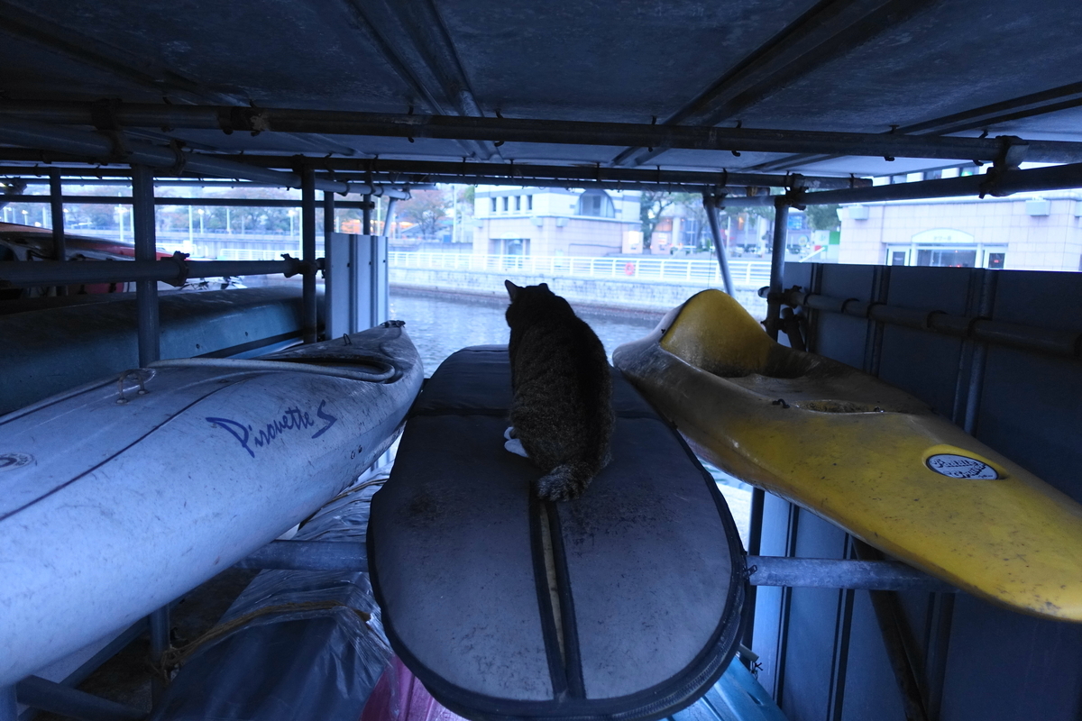 f:id:shigeo-t:20211111111915j:plain