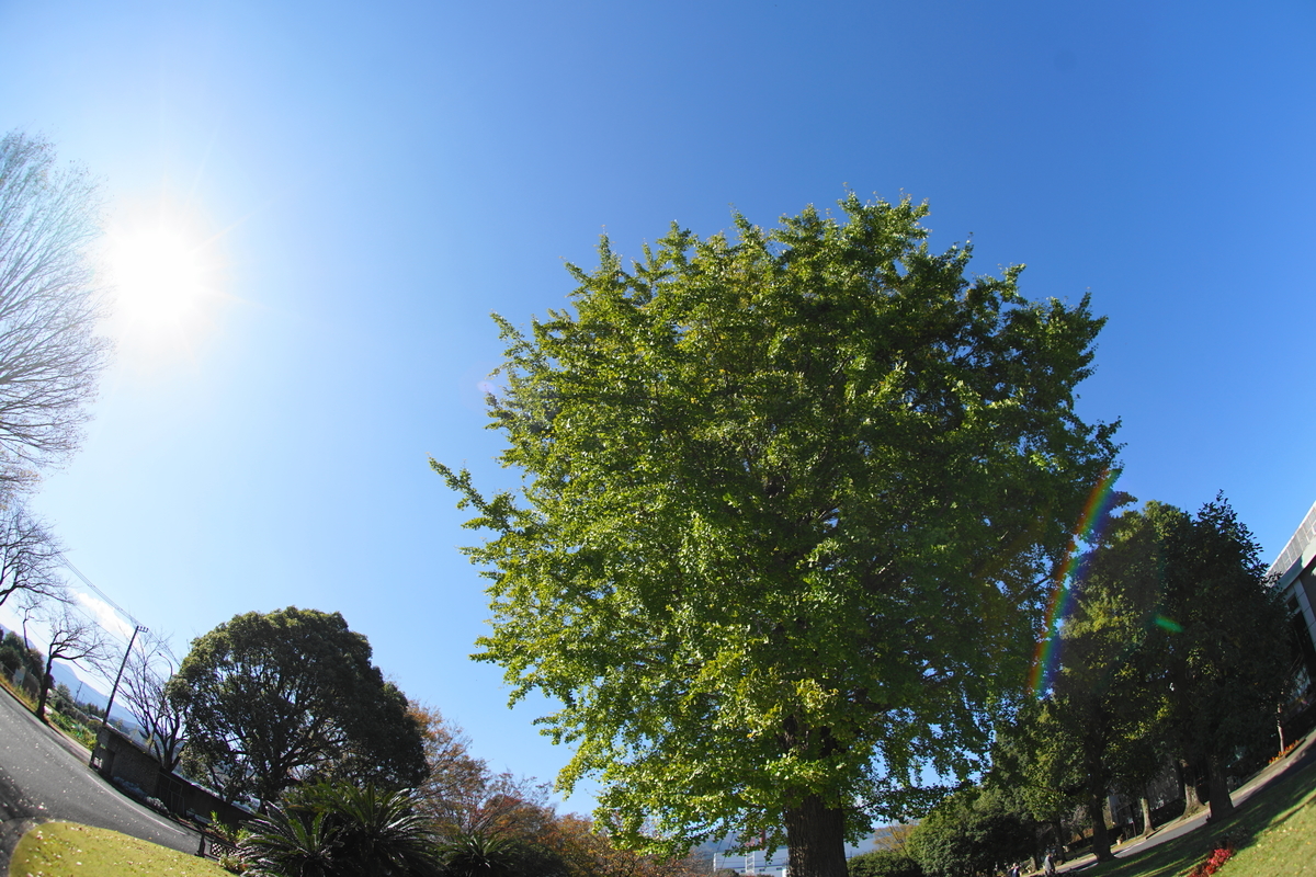 f:id:shigeo-t:20211113163905j:plain